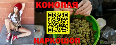 Альфа ПВП Бийск