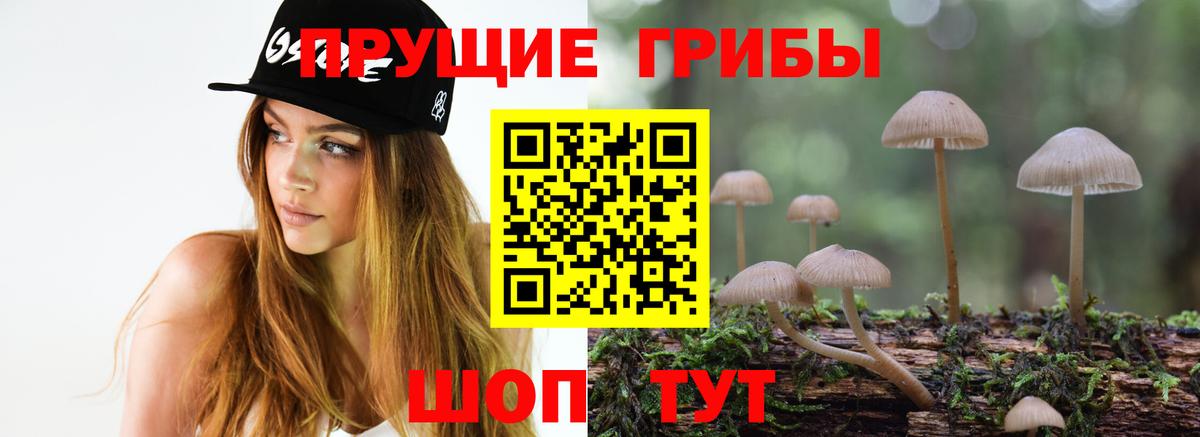 Зеленогорск  Псилоцибиновые грибы GOLDEN TEACHER  Вход с VPN 
